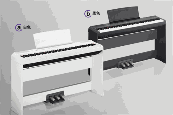 艾威乐器品牌零售店